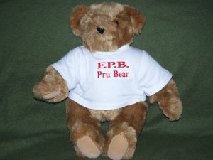 Vermont Teddy Bear Co Born In Vermont Eyes Pru Bear 15"