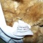 Vermont Teddy Bear Co Born In Vermont Eyes Pru Bear 15"
