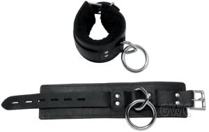 Locking Buckle Restraints