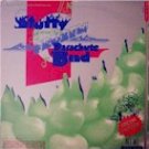 Stuffy and His Frozen Parchite Band (LP)
