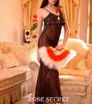 Sexy Mesh Gown Code: ZG3059