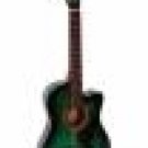 Green Acoustic Guitar