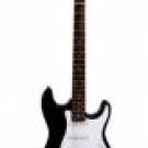 Black with White Picguard