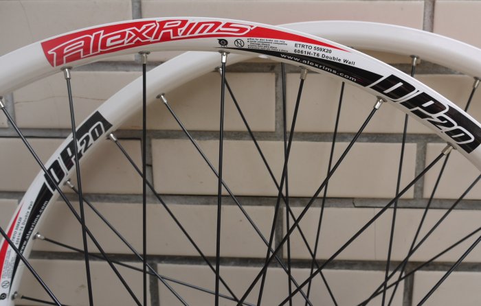 alex rims dp20 29er