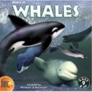 World Of Whales Education Interactive CD Ages 9+