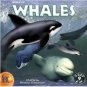World Of Whales Education Interactive CD Ages 9+
