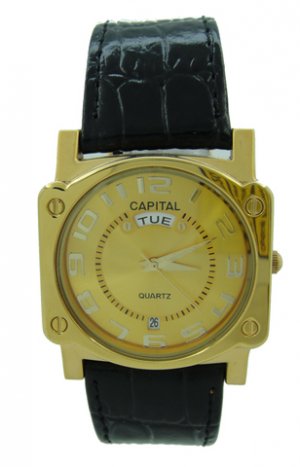 Capital brand leather strap men Watch WA719