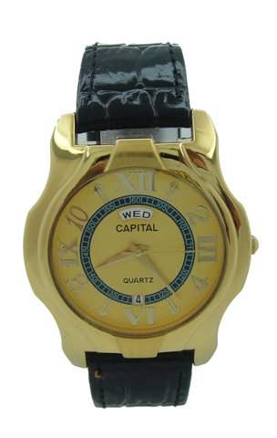 Capital brand leather strap men Watch WA720