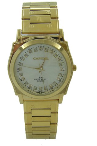 Capital brand men Watch WA760G