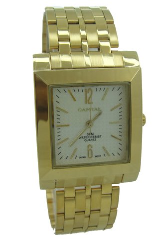 Capital brand men Watch WA764G