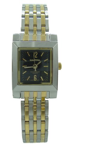 Capital brand women Watch WA764L
