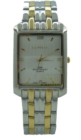 Capital brand men Watch WA765G