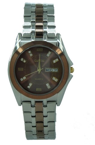 Capital brand men Watch WA2353G