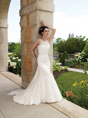 Stunning Cowl Back Sleeveless Mermaid Lace Wedding Dress MC0026