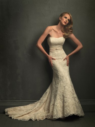 Wedding Dresses/ Wedding Gowns -- Strapless Lace Bridal Gown AL0006