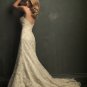 Wedding Dresses/ Wedding Gowns -- Strapless Lace Bridal Gown AL0006