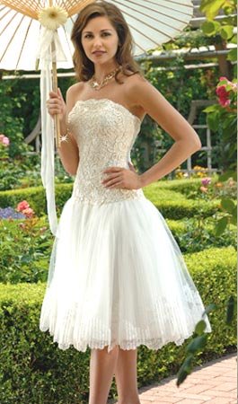 Wedding Dresses/ Wedding Gowns -- Stunning Lace Short Bridal Gown WS0022