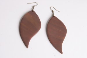 Brown Earrings