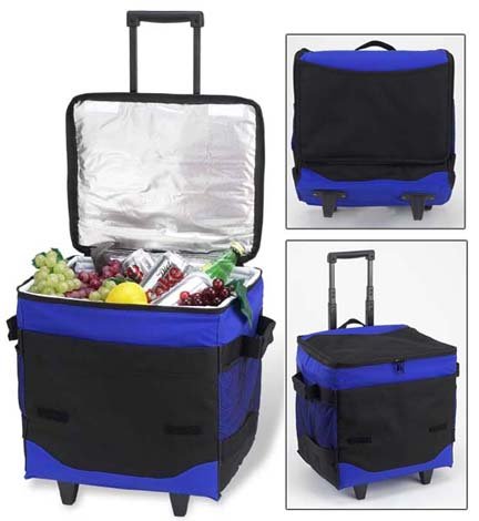 collapsible insulated cooler