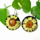 E713 CHARMING CHRYSANTHEMUM HOOK EARRINGS 1.3 in.