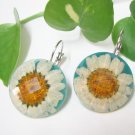 E715 CHARMING CHRYSANTHEMUM BLUE HOOK EARRINGS 1.3 in.