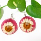 E717 CHRYSANTHEMUM PINK HOOK EARRINGS 1.3 in.