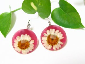 E717 CHRYSANTHEMUM PINK HOOK EARRINGS 1.3 in.