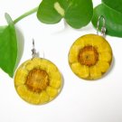 E720 CHRYSANTHEMUM CHARMING HOOK EARRINGS 1.3 in.