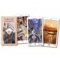 p-c LIMITED EDITION CASANOVA METAPHYSICAL FORTUNE TELLING TAROT DECK PLAYING CARD ORACLE