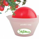 p-c POMEGRANATE SEEDS arils REMOVAL PROFESSIONAL PEELER / PEELING KITCHEN TOOL GADGET FREE U.S. POST