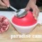 p-c POMEGRANATE SEEDS arils REMOVAL PROFESSIONAL PEELER / PEELING KITCHEN TOOL GADGET FREE U.S. POST