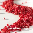 p-c POMEGRANATE SEEDS arils REMOVAL PROFESSIONAL PEELER / PEELING KITCHEN TOOL GADGET FREE U.S. POST