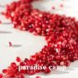 p-c POMEGRANATE SEEDS arils REMOVAL PROFESSIONAL PEELER / PEELING KITCHEN TOOL GADGET FREE U.S. POST