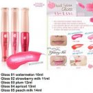 Wholesale Deal - House Peach Water Lip Gloss 10 ML X 25 Numbers Pack