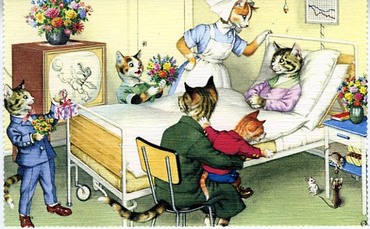 Mainzer - Visiting Mom At The Hospital - Mice Postcard