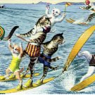 Mainzer - Cats Water Skiing - Postcard