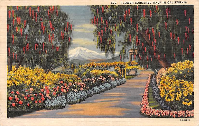 Flower Borddered Walk In California  (A19) 1937