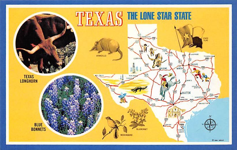 Texas Lone Star State - Map Postcard (A379)