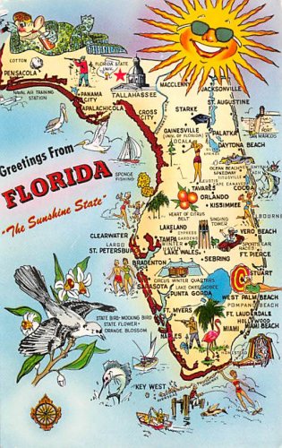 Florida Greetings - Map Postcard (A387)