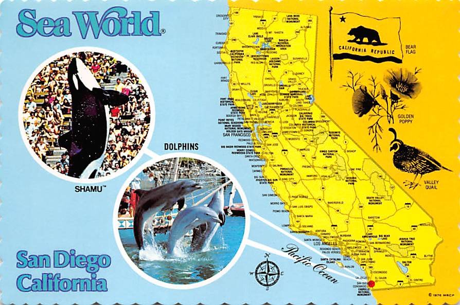 Sea World, San Diego California - Map Postcard (A395)