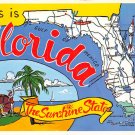 Florida The Sunshine State - Map Postcard (A418)