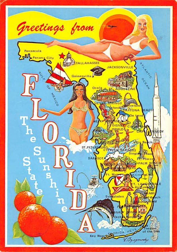 Florida The Sunshine State - Map Postcard (A419)