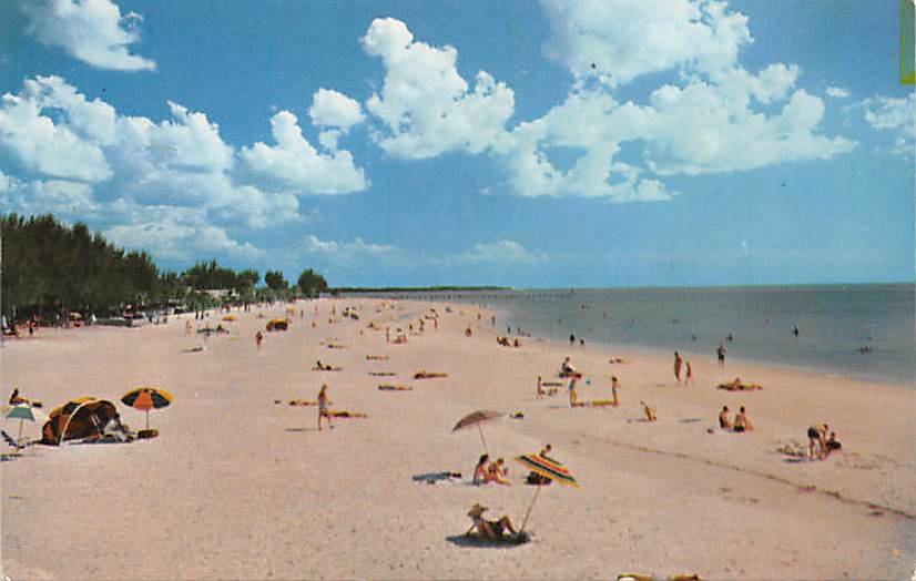 Clearwater Beach, Florida Postcard (A446)