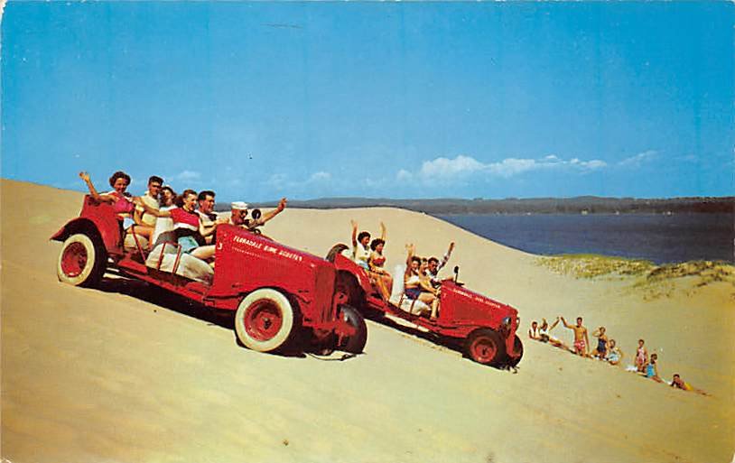 Michigan MAC Wood's Dunes Postcard (A457)