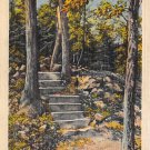 West Rock, Conn, CT Postcard - Footpath 1948 - (A600)