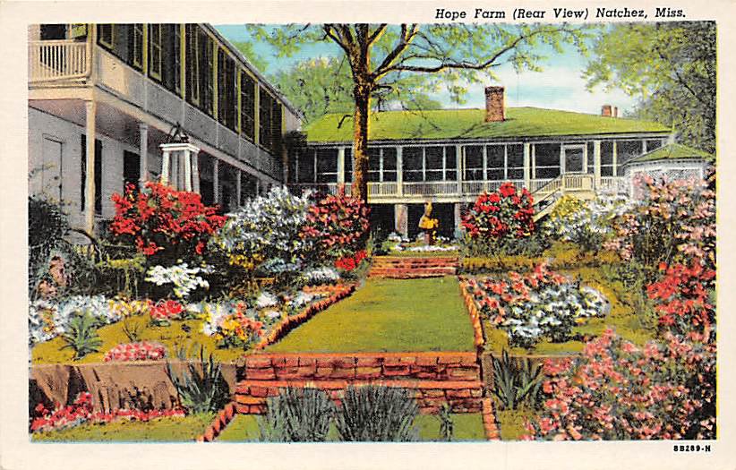Natchez, Miss, MS Postcard - Hope Farm (A678)