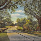 Vicksburg, Miss, MS Postcard - Highway 61, Old Man River Trail 1947 (A756)