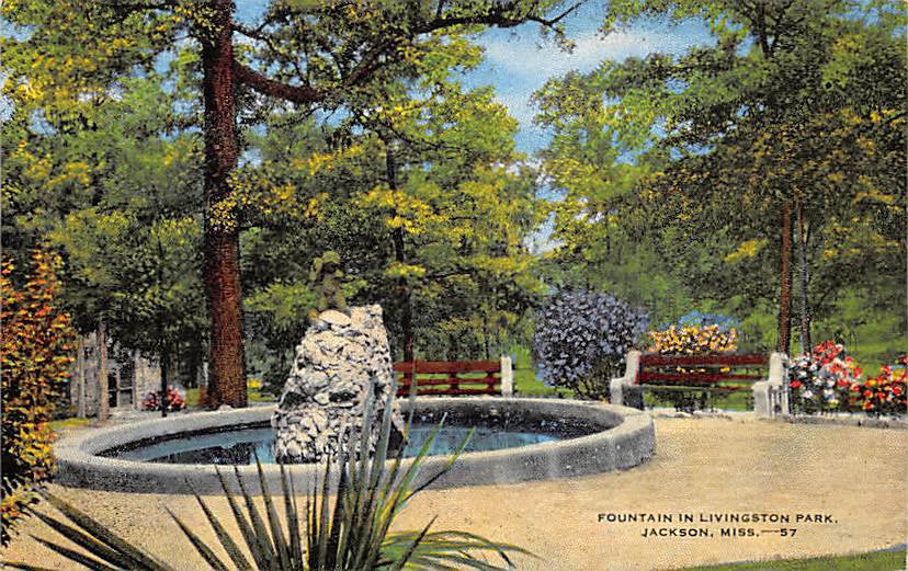 Jackson, Miss, MS Postcard - Fountain Livingston Park (A653)