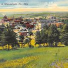Shenandoah, PA Postcard Aerial View (A710) Penna, Pennsylvania