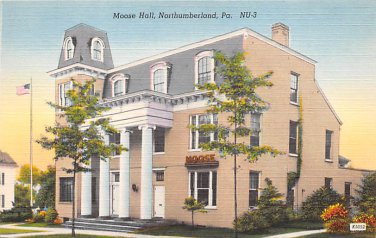 Northumberland, PA Postcard Moose Hall  (A725) Penna, Pennsylvania